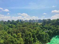 Blk 85 Telok Blangah Heights (Bukit Merah), HDB 5 Rooms #449942151